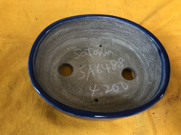 画像2: SA6488  里美　小判5号単色 (2)