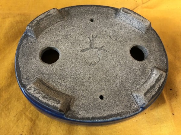 画像3: SA6488  里美　小判5号単色 (3)