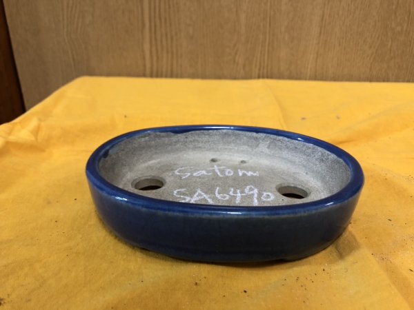 画像1: SA6490  里美　小判5号単色 (1)