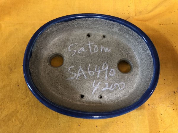 画像2: SA6490  里美　小判5号単色 (2)