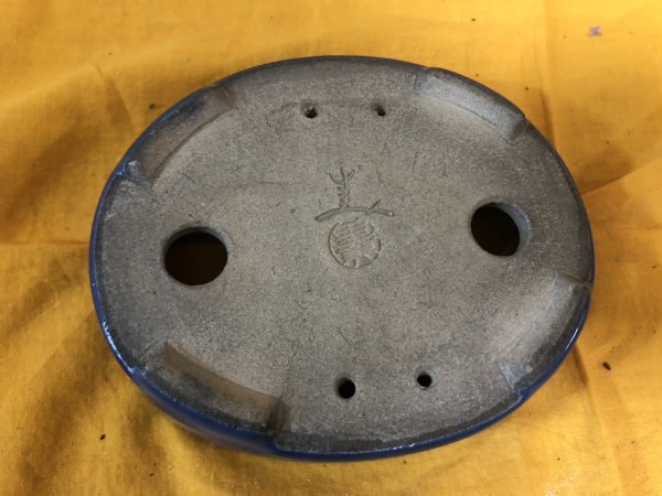 画像3: SA6490  里美　小判5号単色 (3)