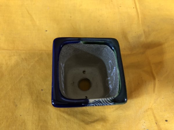 画像2: SA6492  里美　極小鉢　懸崖 (2)