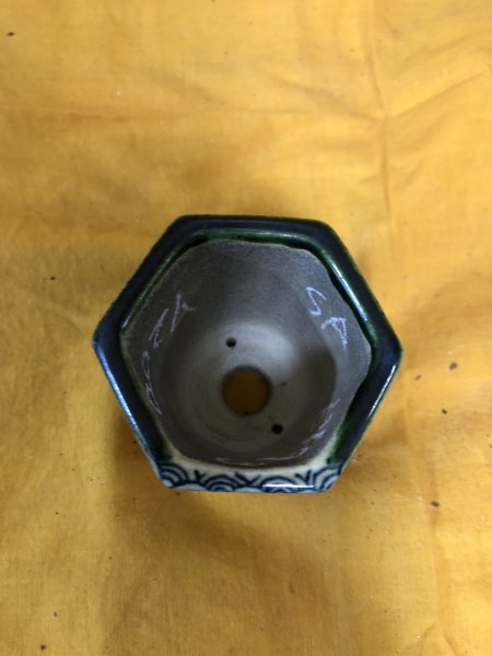 画像2: SA6493  里美　極小鉢　六角 (2)
