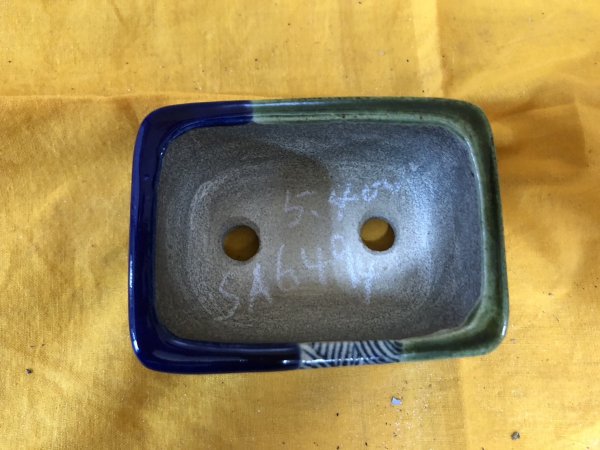 画像2: SA6494  里美　極小鉢　長方 (2)