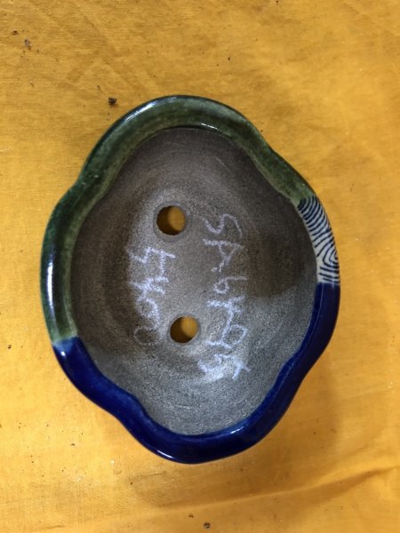 画像2: SA6495  里美　極小鉢　木瓜 (2)