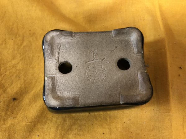 画像3: SA6496  里美　極小鉢　木瓜 (3)