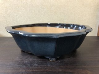 盆栽鉢販売店 ｜ 盆栽鉢専門の盆栽ネットワーク・ジャパン (Page 6)