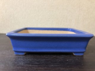 盆栽鉢販売店 ｜ 盆栽鉢専門の盆栽ネットワーク・ジャパン (Page 7)