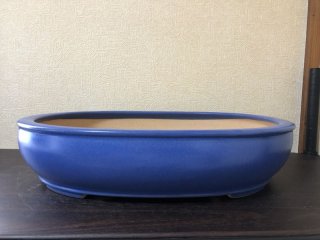 盆栽鉢販売店 ｜ 盆栽鉢専門の盆栽ネットワーク・ジャパン (Page 7)