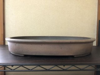 盆栽鉢販売店 ｜ 盆栽鉢専門の盆栽ネットワーク・ジャパン (Page 7)