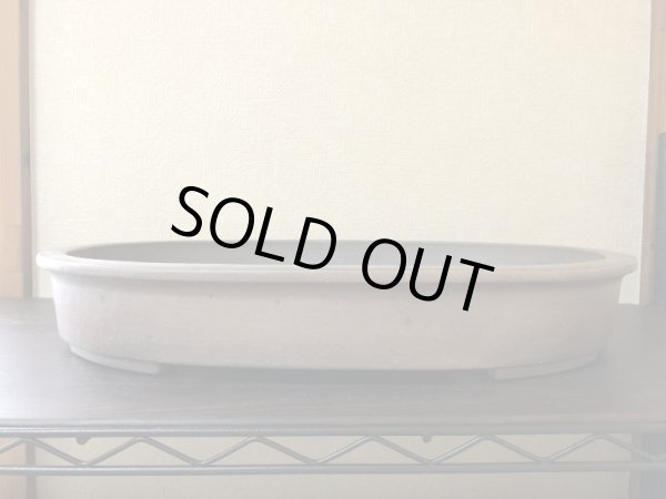 画像1: No.YA3733  黎鳳 (1)