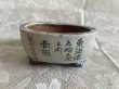 画像3: No.MA6532  陶翠 (3)