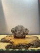 画像1: No.HA3502  荒川更紗石 (1)