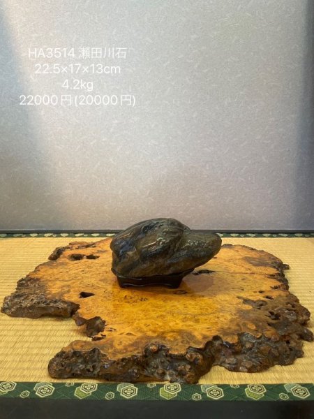 画像8: No.HA3514  瀬田川石 (8)