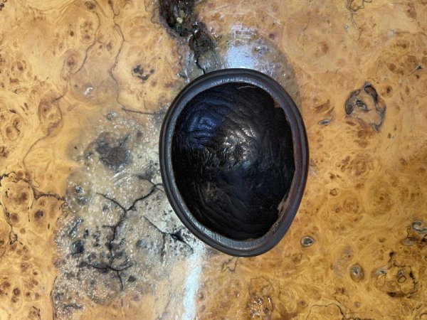 画像5: No.HA3521  瀬田川石 (5)