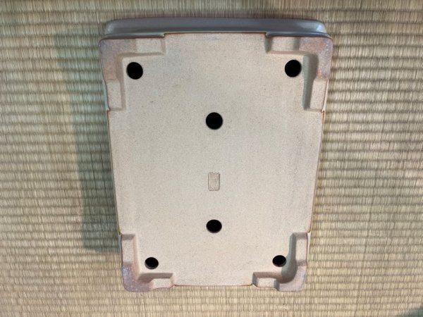 画像3: No.MA3912  黎鳳 (3)