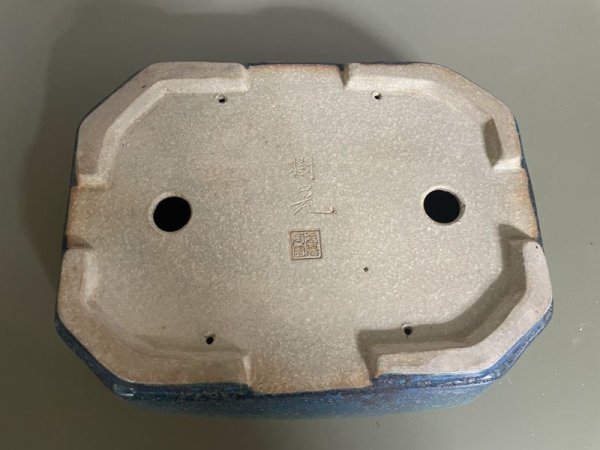 画像3: No.IA31207 鴻陽 (3)