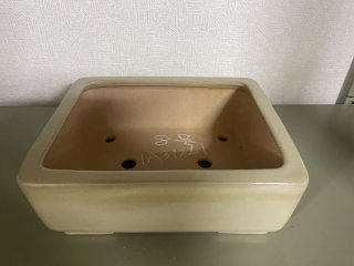 黎鳯 盆栽鉢 盆栽鉢販売店 ｜ 盆栽鉢専門の盆栽ネットワーク・ジャパン (Page 2)