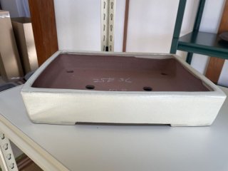 盆栽鉢販売店 ｜ 盆栽鉢専門の盆栽ネットワーク・ジャパン (Page 7)