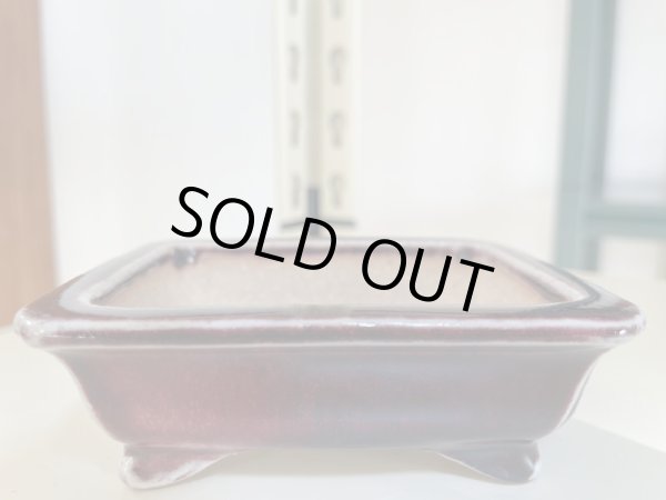 画像1: No.IA31288 鴻陽 (1)