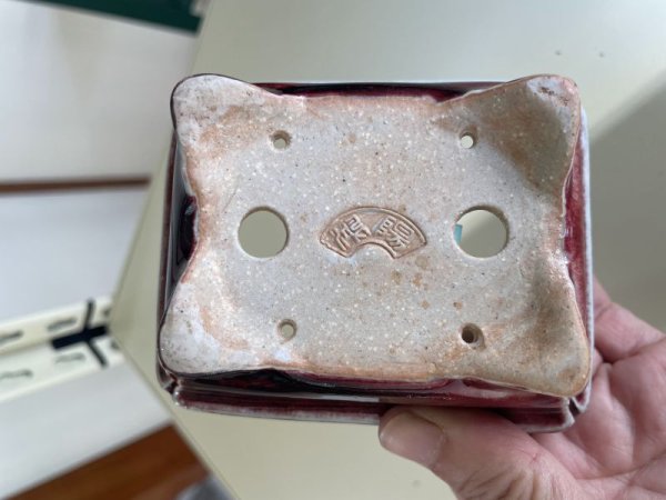 画像3: No.IA31288 鴻陽 (3)