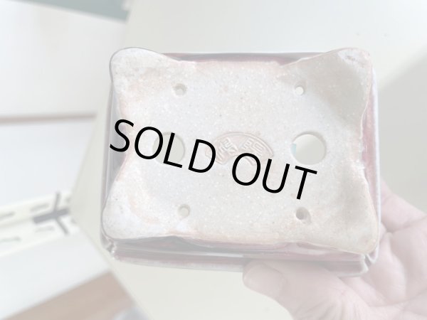 画像3: No.IA31288 鴻陽 (3)