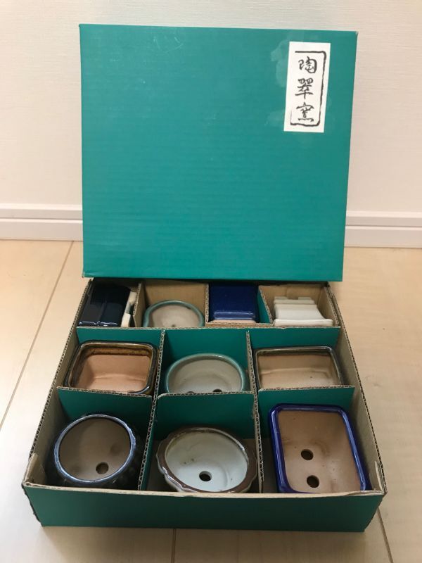 盆栽鉢 陶翠 | www.vakilconsulting-webmarketing.fr