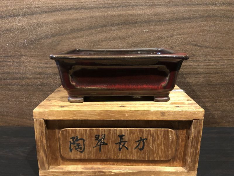陶翠？ 盆栽鉢 長方