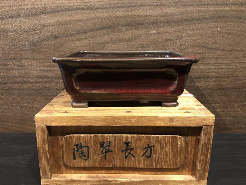 小品盆栽鉢 緑寿庵陶翠 長方鉢 箱付け - beautifulbooze.com